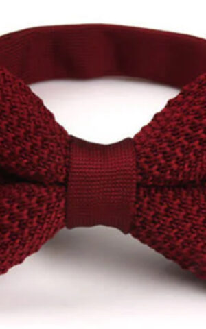 Design # 16093 Hudson House Bartender Wine Knit Bow Tie